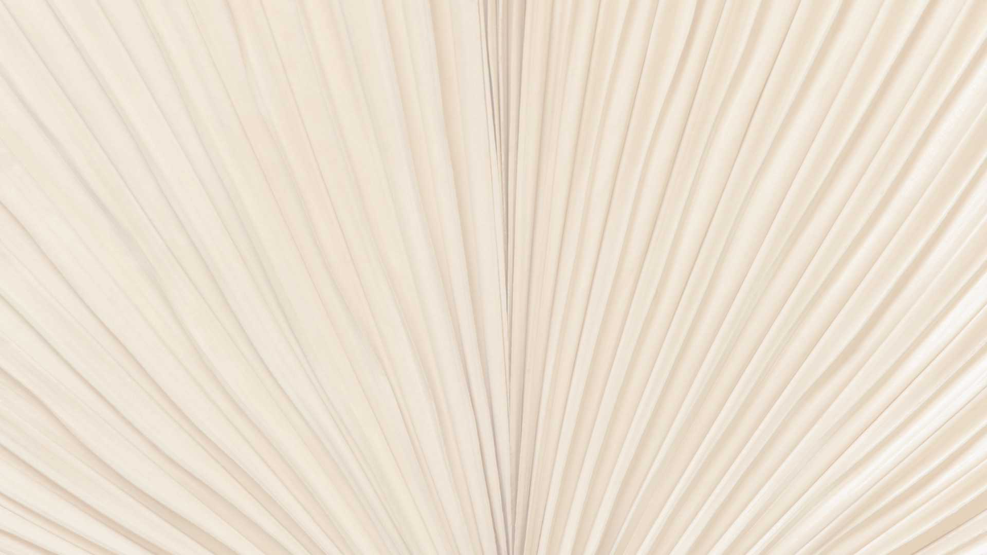 texture fan